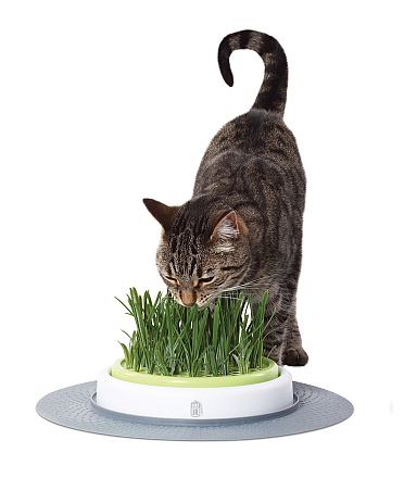 Catit Design Senses Gras-Kit